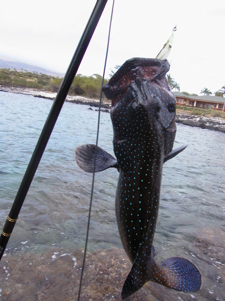 Fly Fishing Hawaii Big Island
